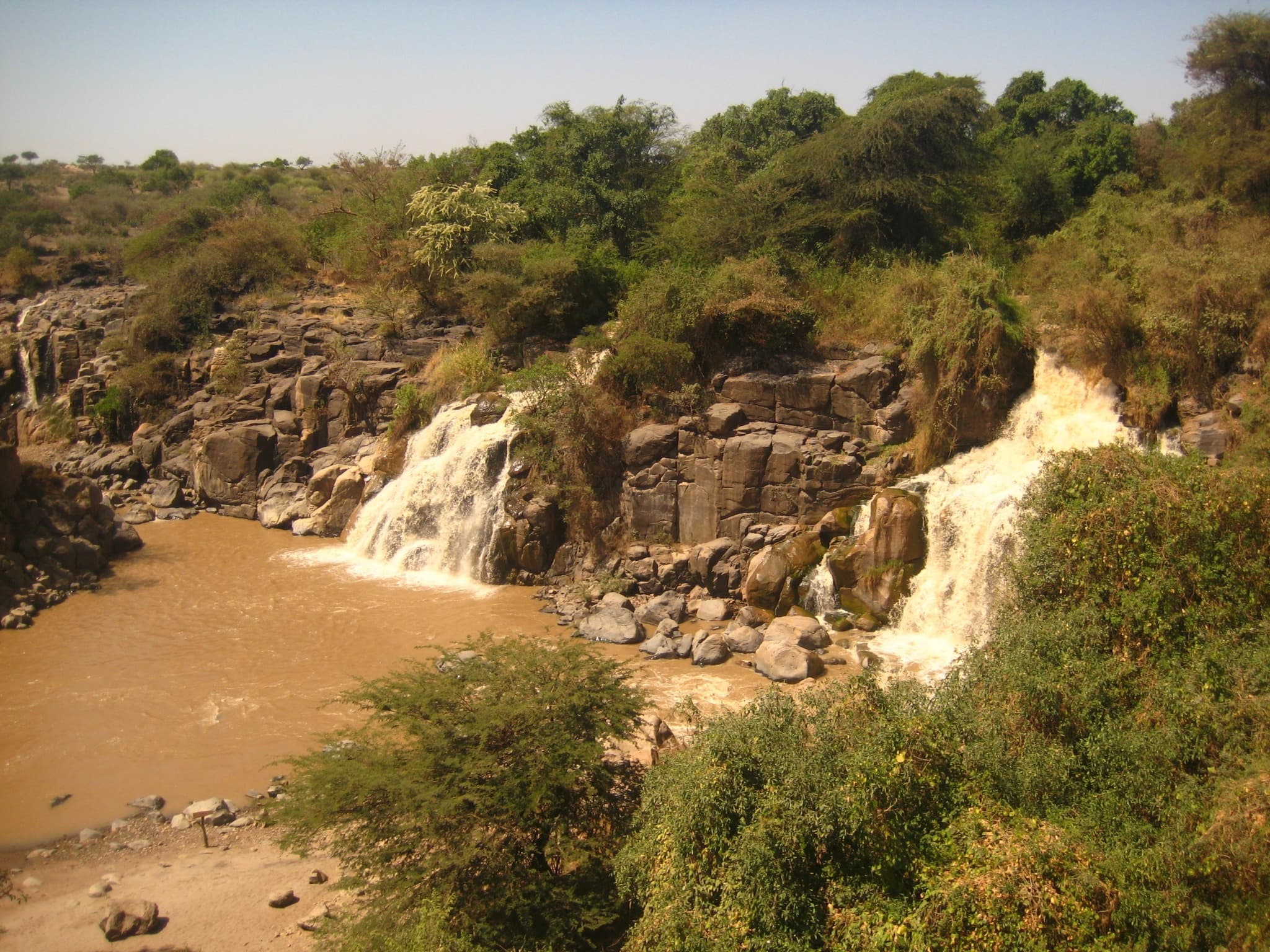Lower Awash Valley: photo 2