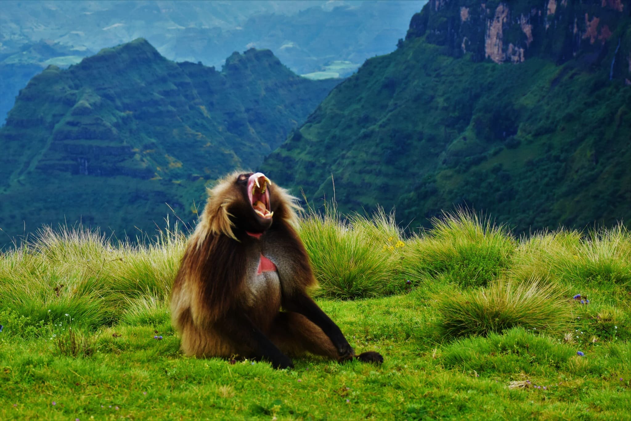 Simien Mountains