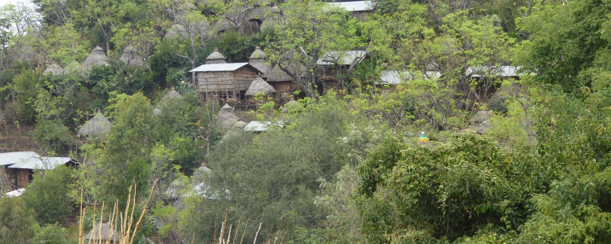 Southern Cultural Circuit: photo 2