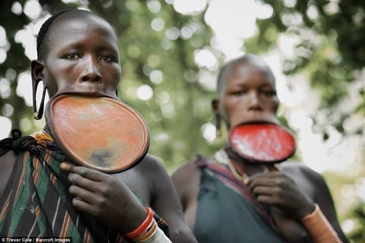 How to Plan an Omo Valley Tour in Ethiopia: Routes, Costs, Tribes, and Travel Tips